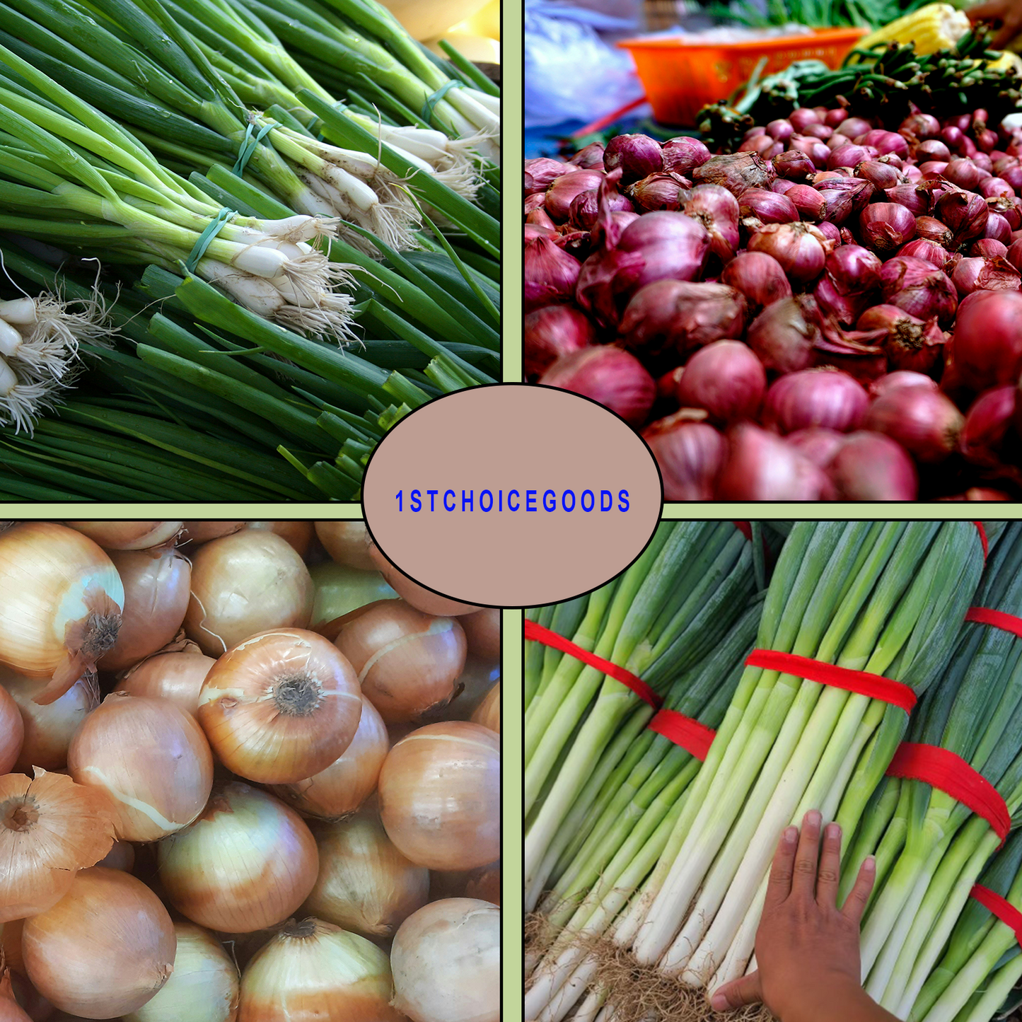 1000+ Onion Seeds for Planting | 4 Individual Packs | Evergreen White Nebuka, Ruby Red, Tokyo Long White & Yellow Sweet Spanish | Non-GMO, USA-Grown Heirloom Vegetable Seeds