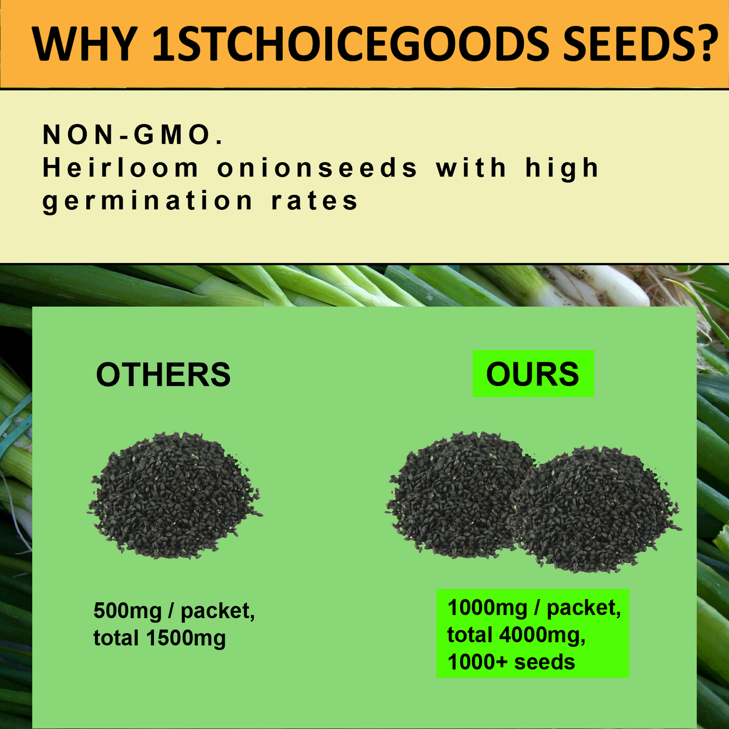 1000+ Onion Seeds for Planting | 4 Individual Packs | Evergreen White Nebuka, Ruby Red, Tokyo Long White & Yellow Sweet Spanish | Non-GMO, USA-Grown Heirloom Vegetable Seeds