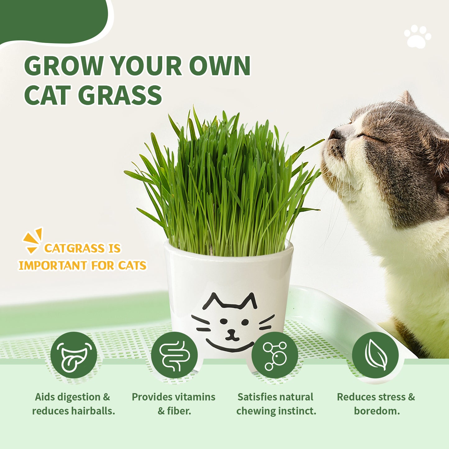 Cat Grass Seeds Refill Kit – Grow Your Own Wheatgrass for Cats with 3 Soil Blocks & 3 Seed Packs, Non-GMO, USA-Grown