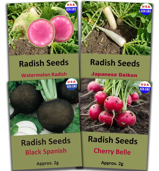 800+ Radish Seeds Variety Pack, 4 Individual Packs, Cherry Belle, Daikon, Black Spanish, Watermelon Radish, Non-GMO, USA-Grown, Heirloom Vegetable Seeds for Home Garden Planting